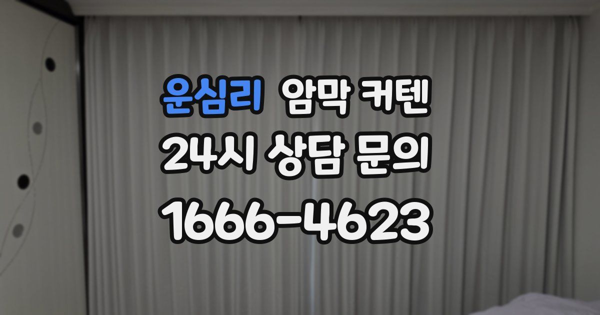 운심리 암막 커텐