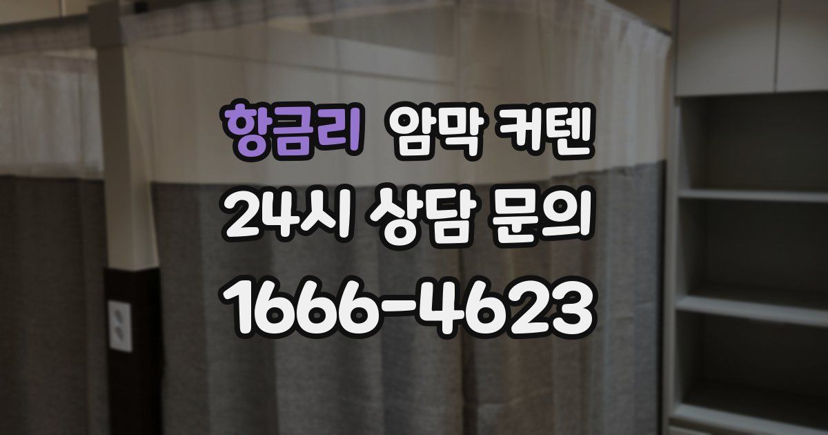 항금리 암막 커텐