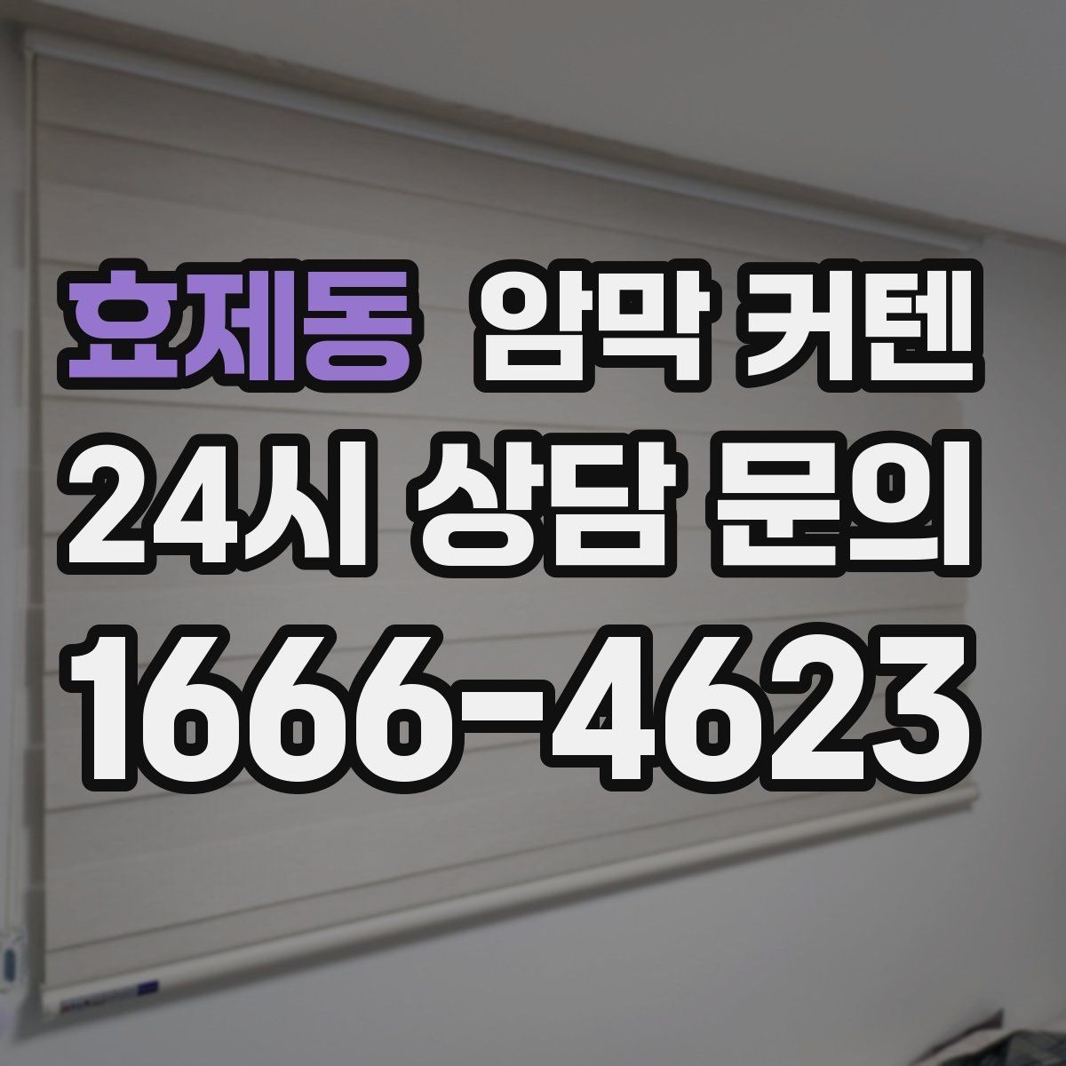 효제동 암막 커텐 가격대별 차이와 체크 포인트