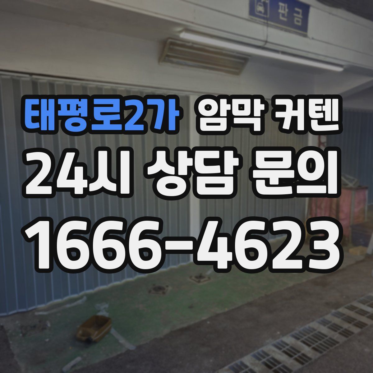 태평로2가 암막 커텐