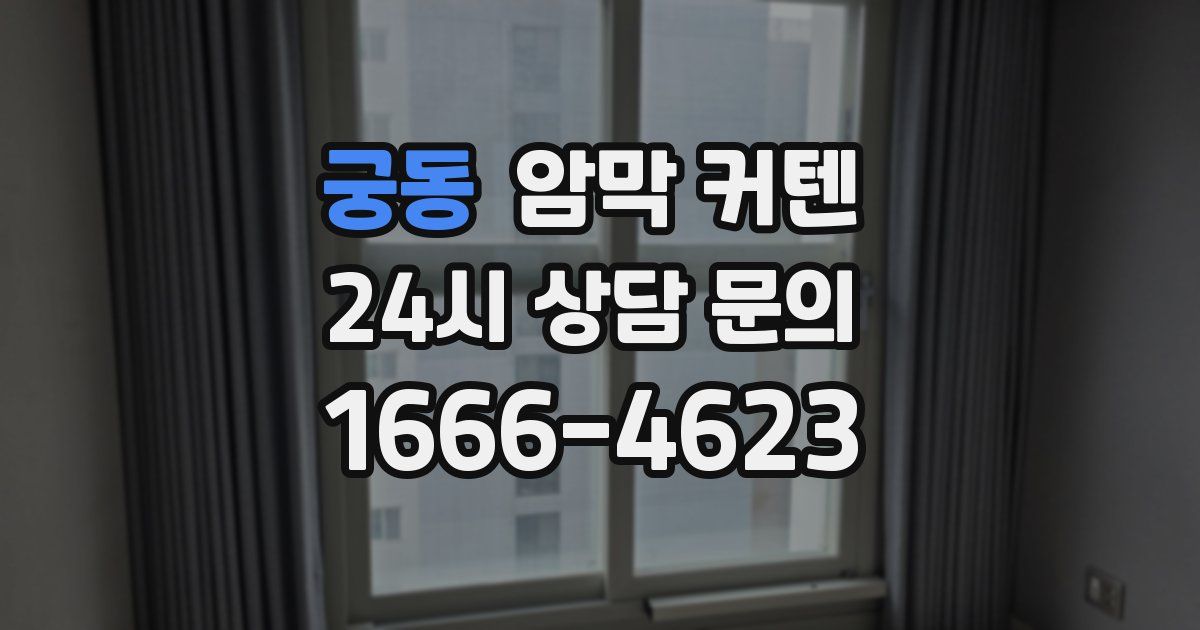 궁동 암막 커텐