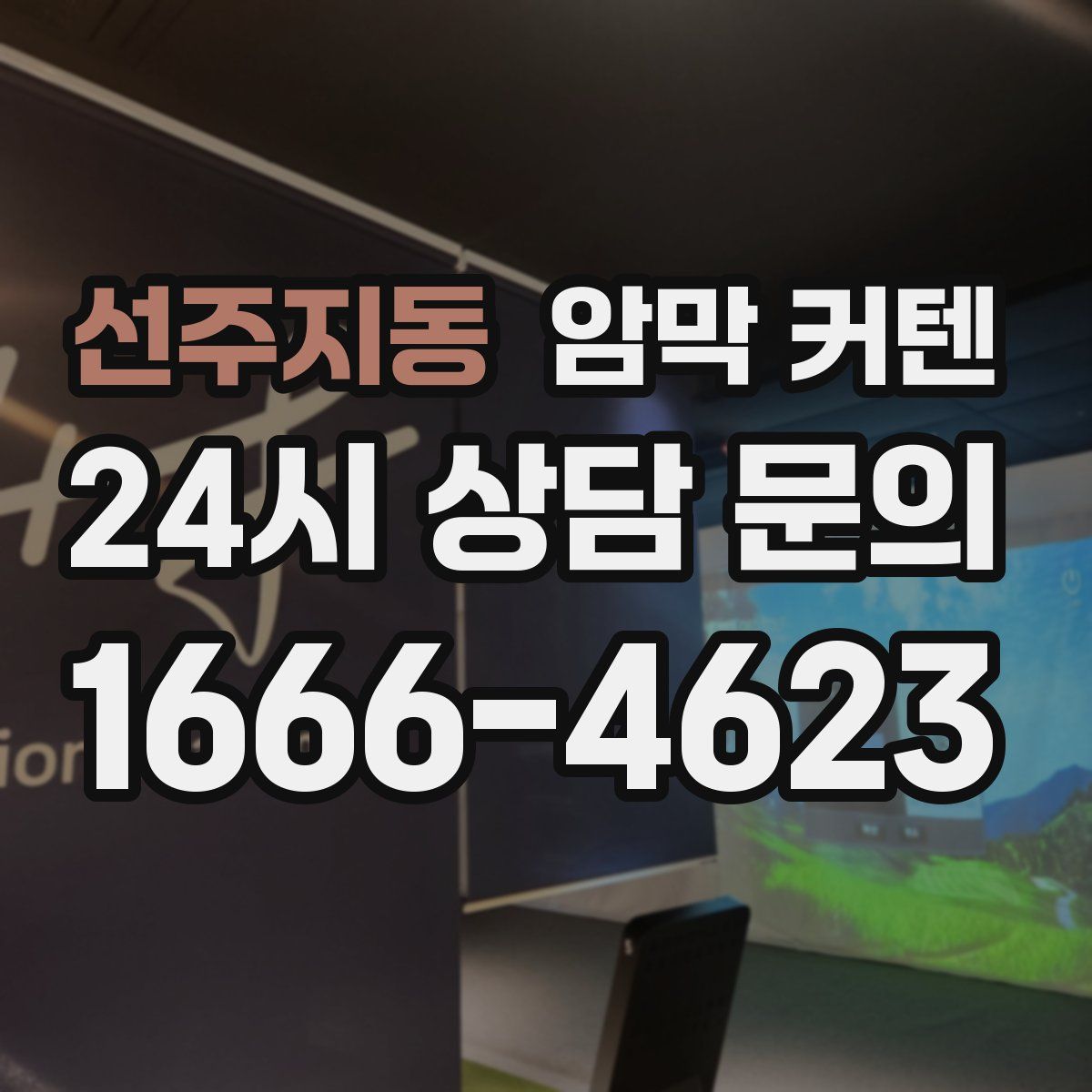 선주지동 암막 커텐