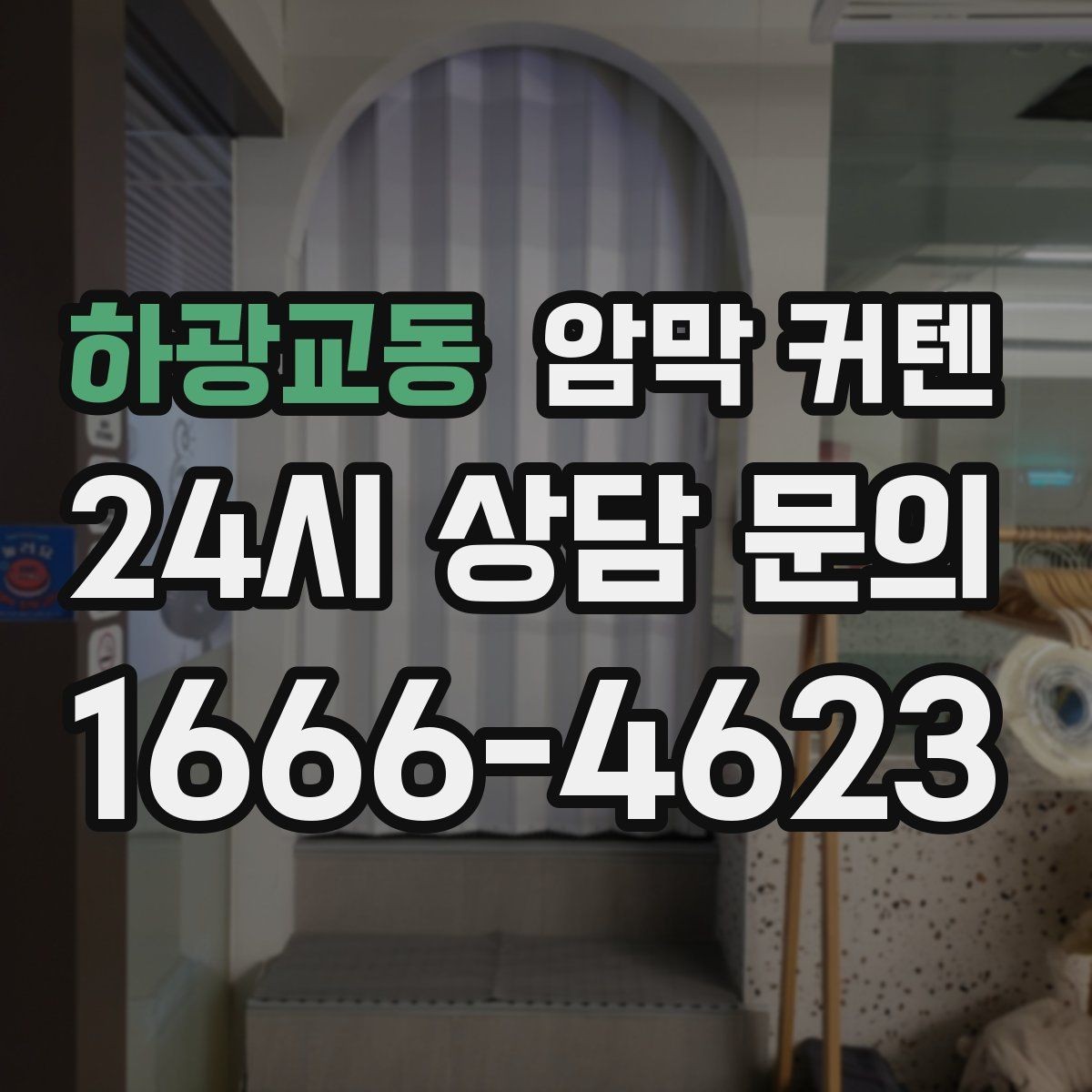 하광교동 암막 커텐 반려동물 있는 집에서 고려할 점
