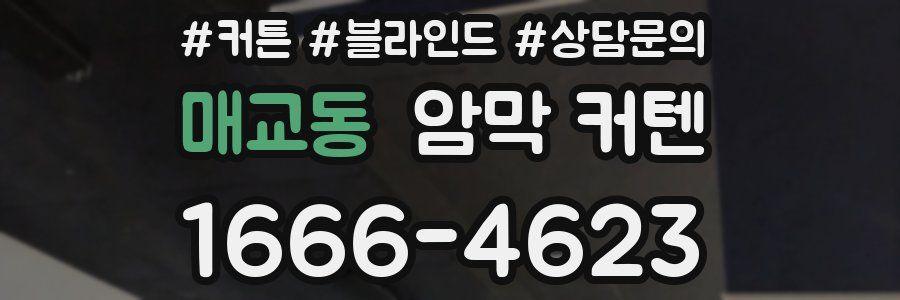 매교동 암막 커텐
