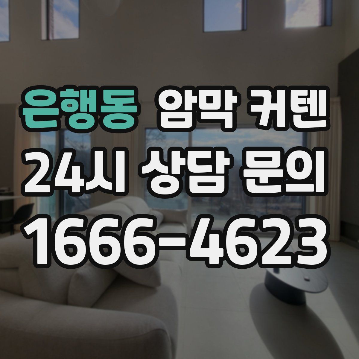 은행동 암막 커텐