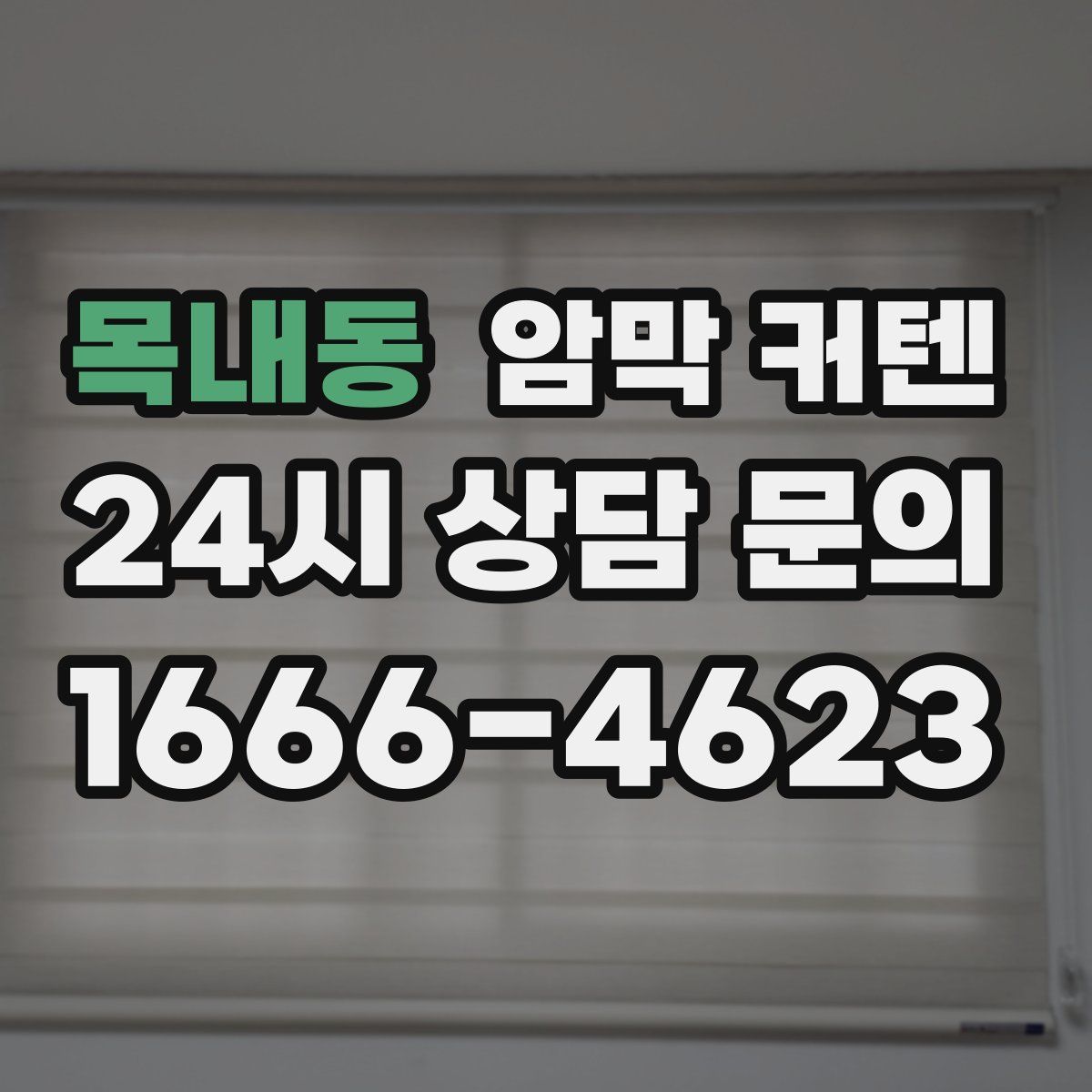 목내동 암막 커텐