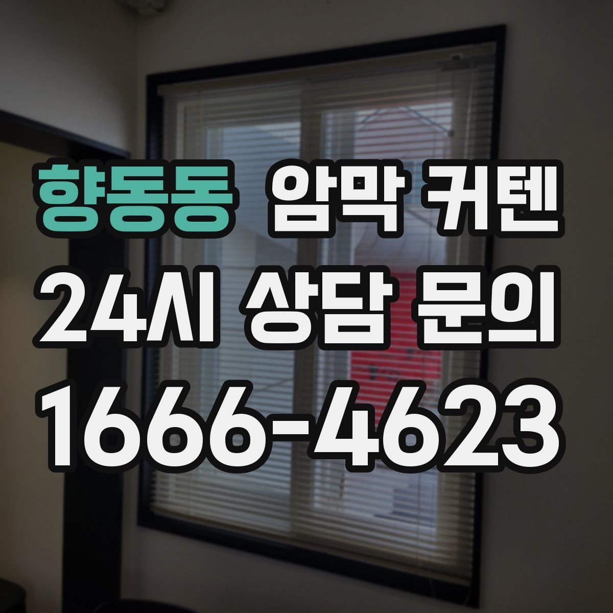 향동동 암막 커텐