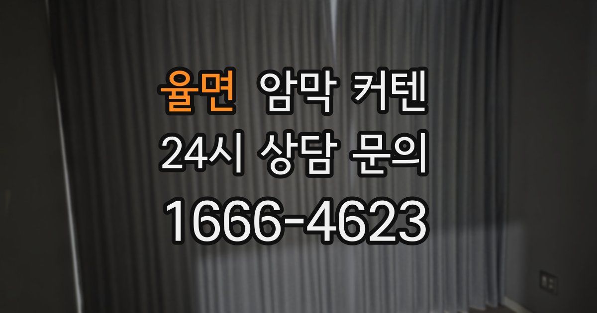 율면 암막 커텐