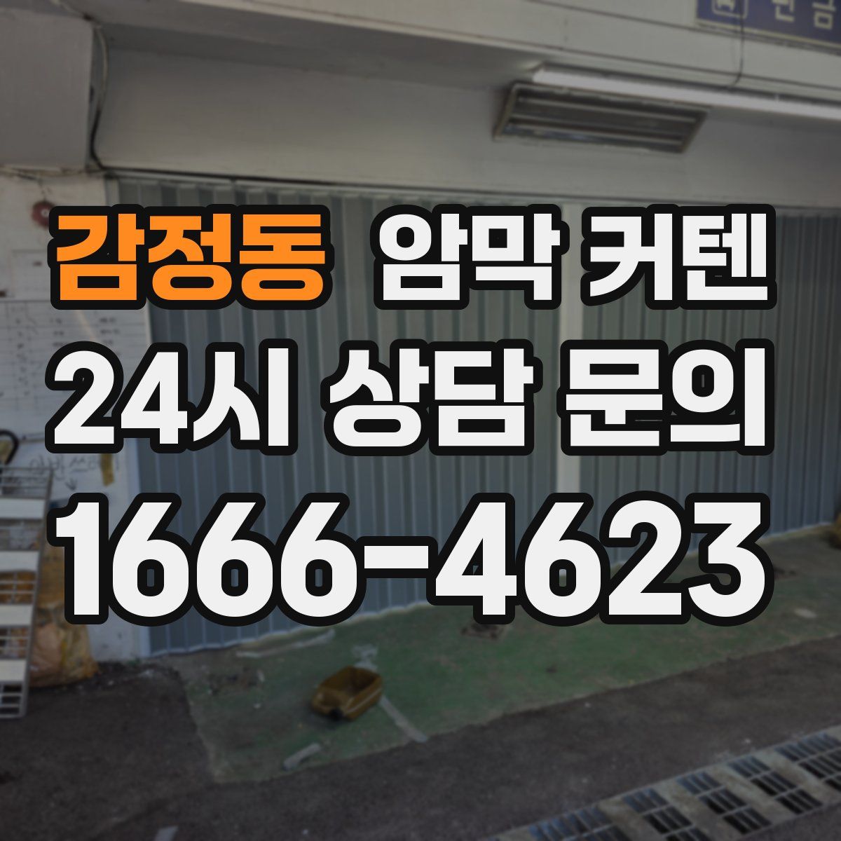 감정동 암막 커텐