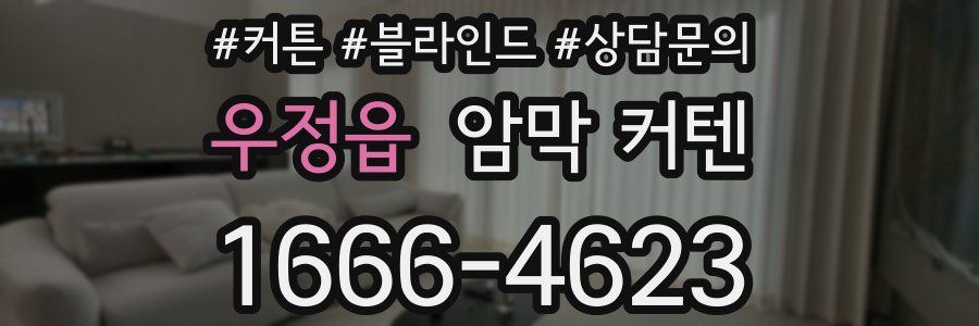 우정읍 암막 커텐