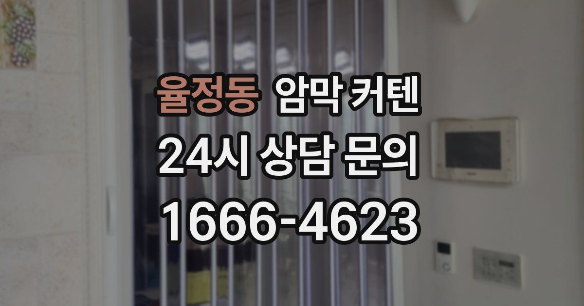 율정동 암막 커텐