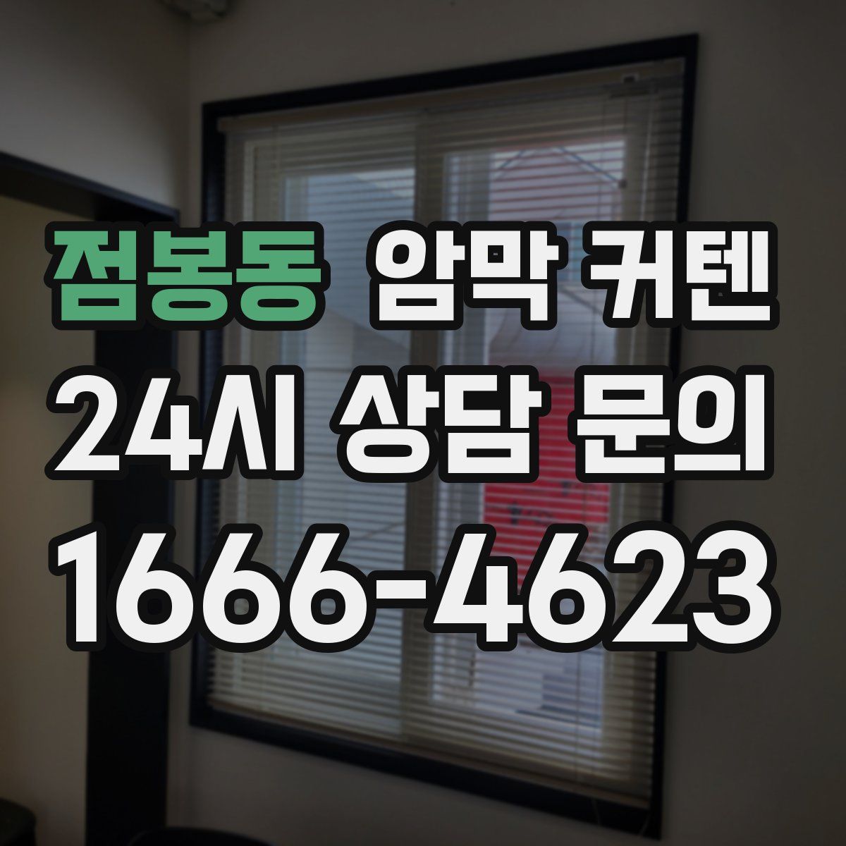 점봉동 암막 커텐