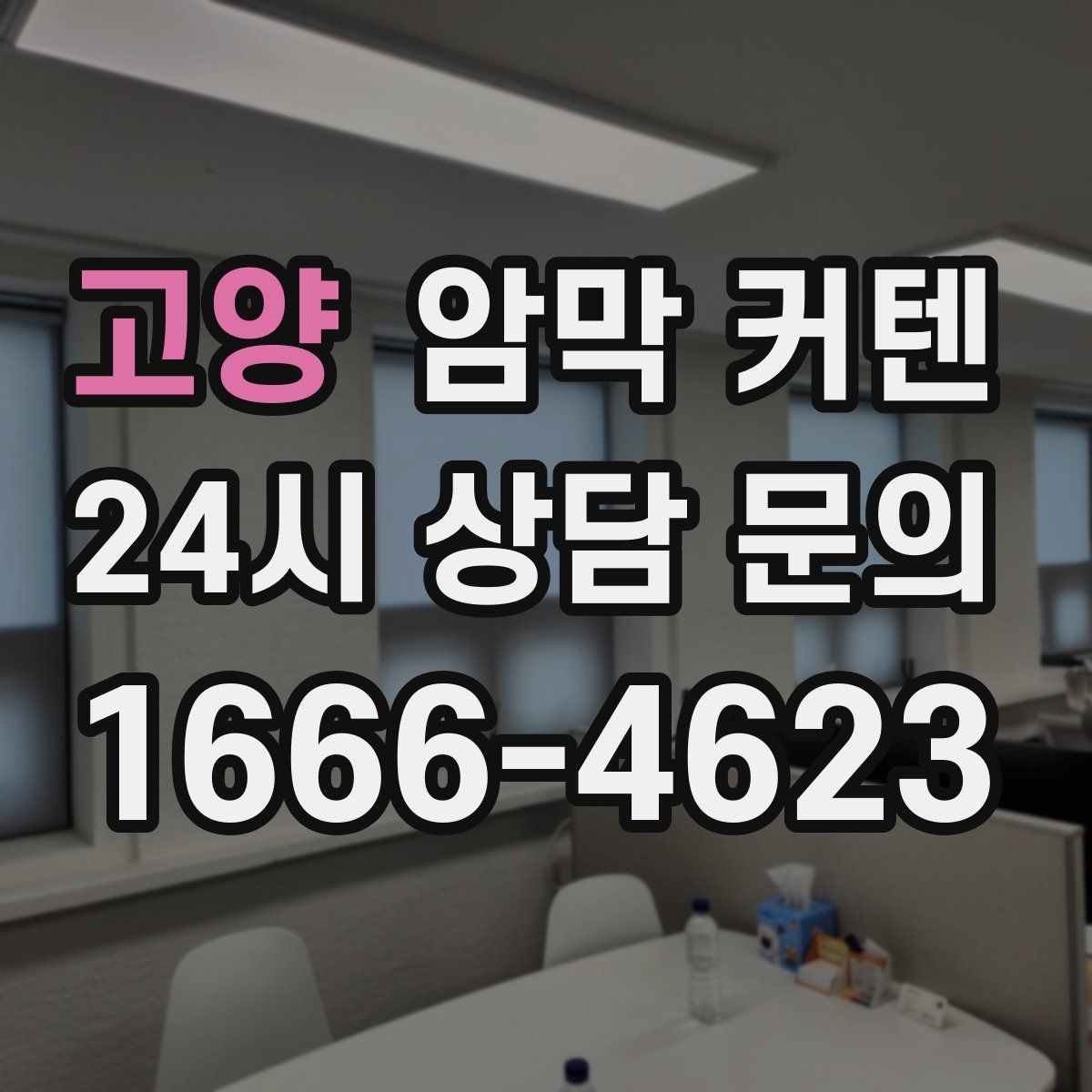 고양 암막 커텐