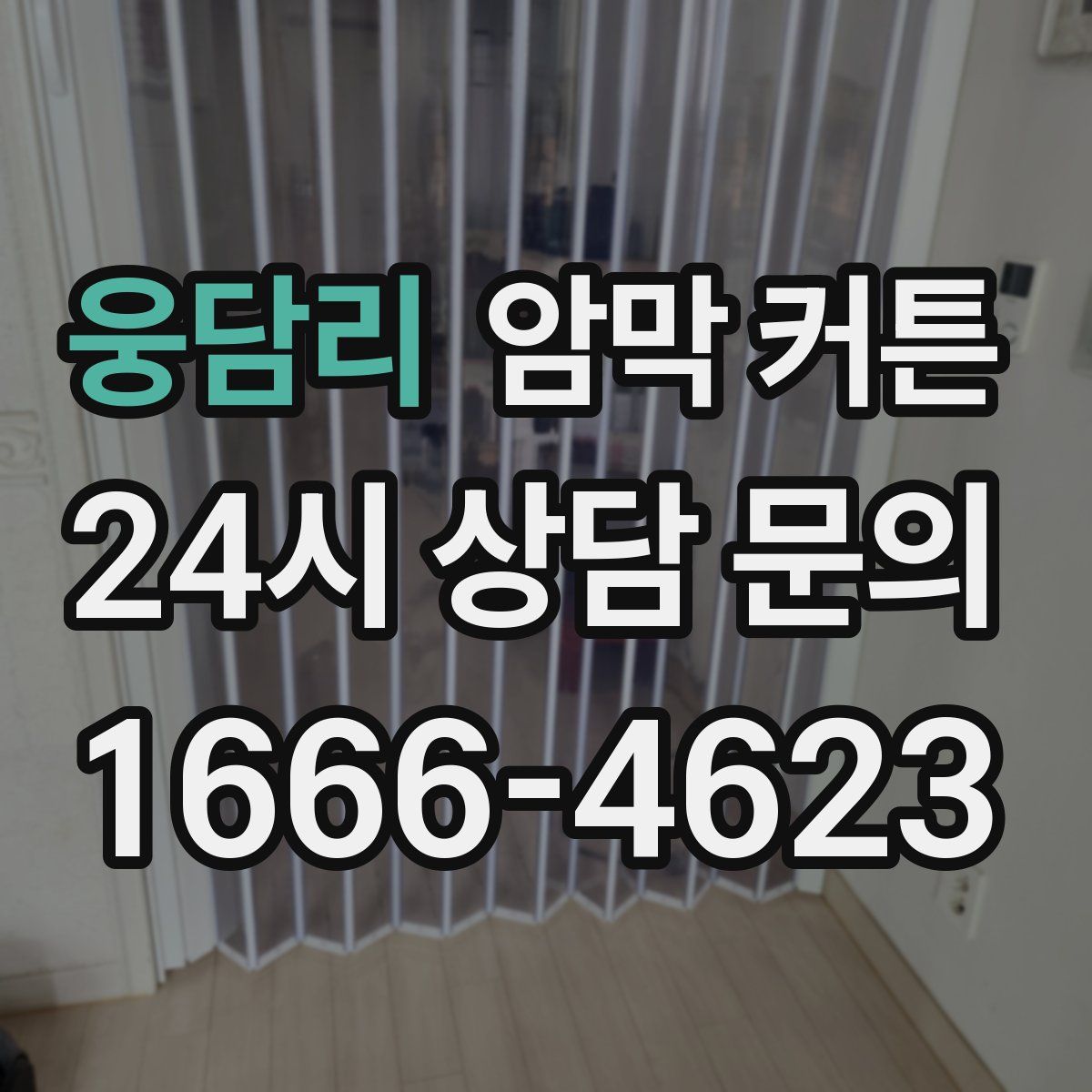 웅담리 암막 커튼