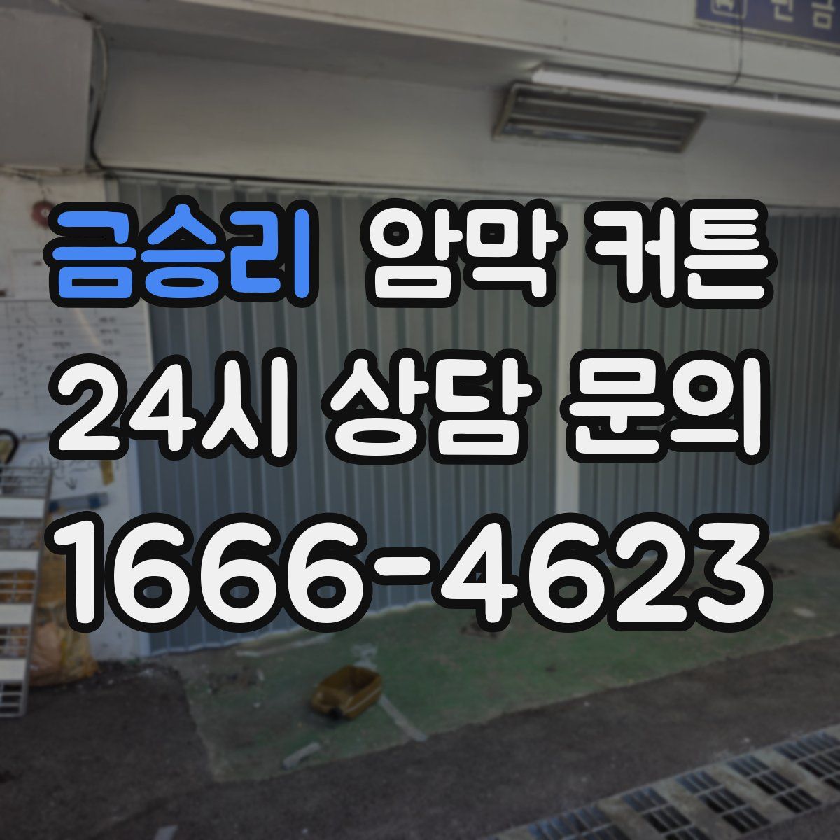 금승리 암막 커튼