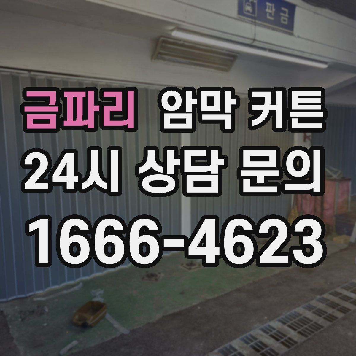 금파리 암막 커튼