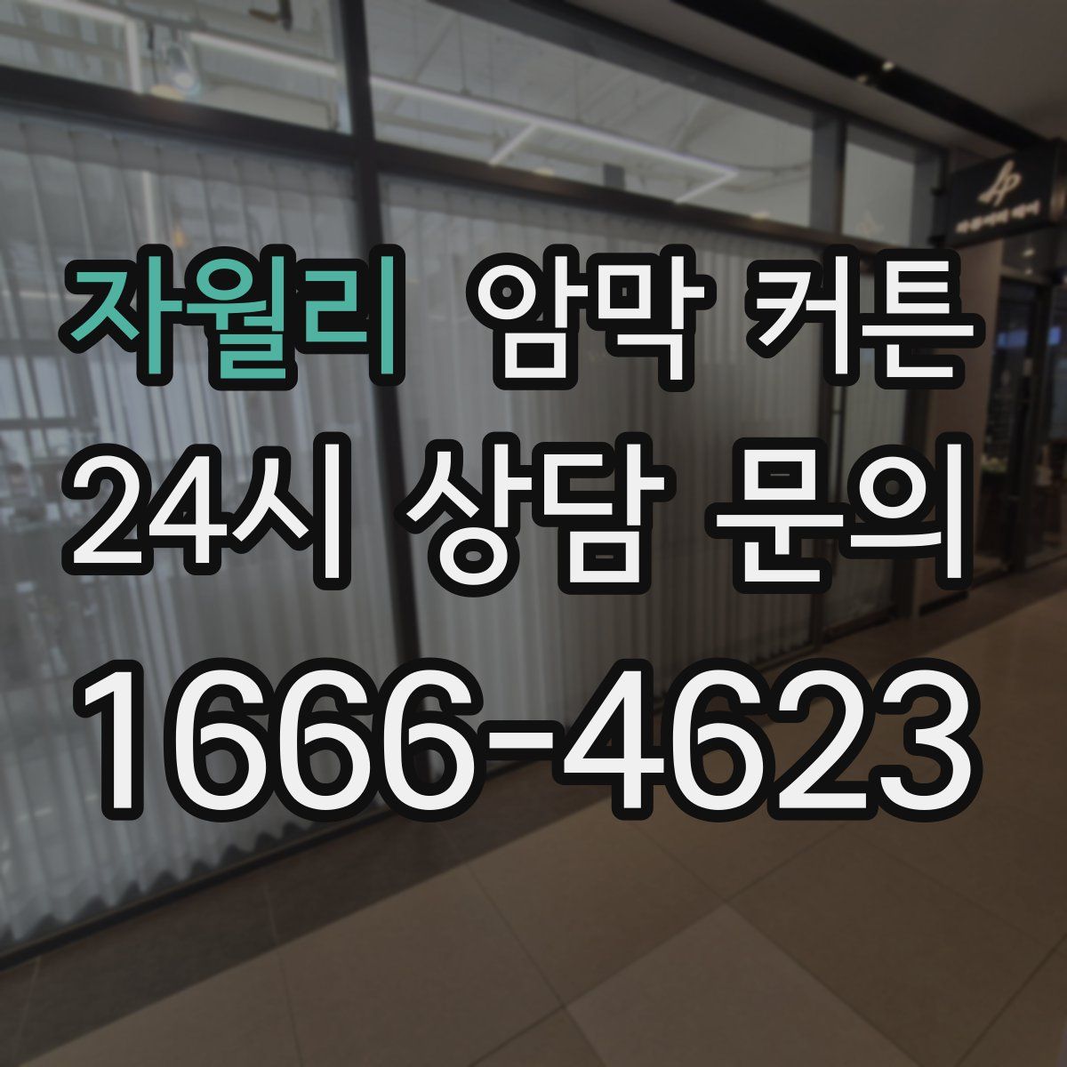 자월리 암막 커튼