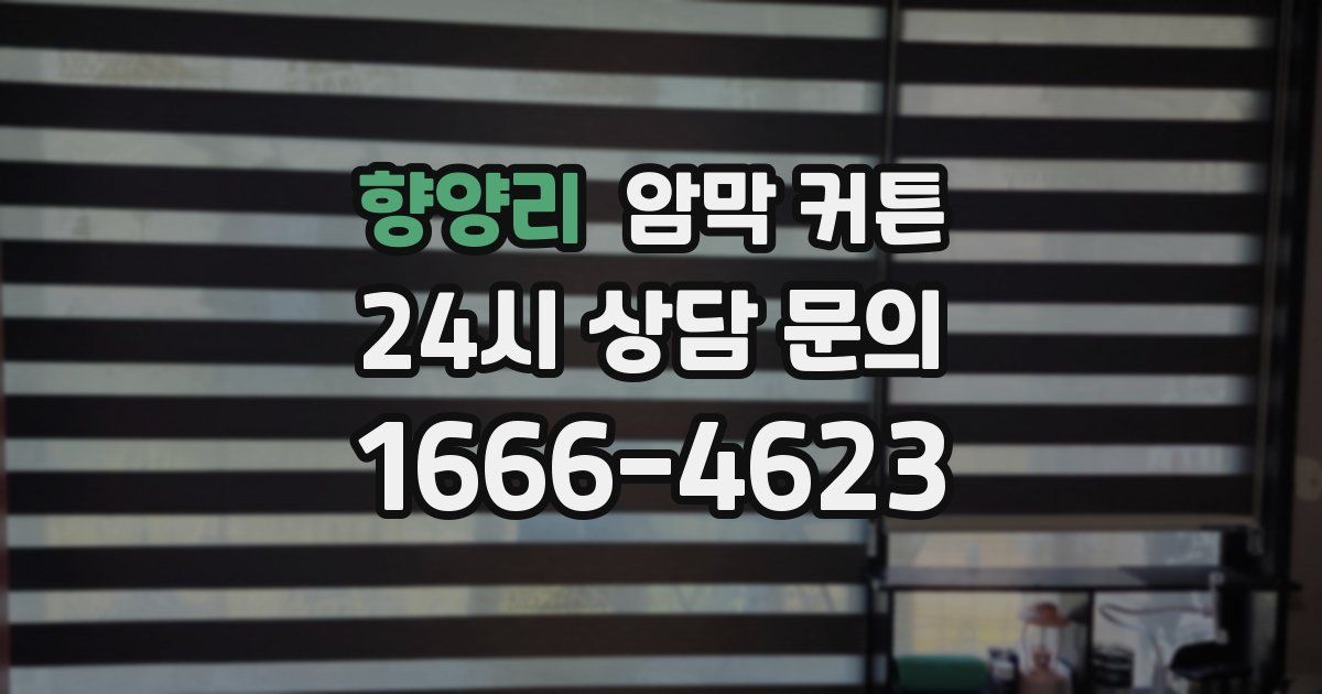 향양리 암막 커튼