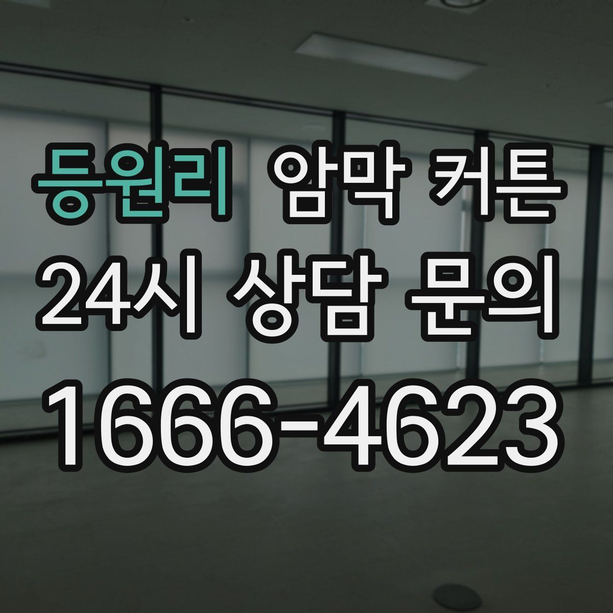 등원리 암막 커튼