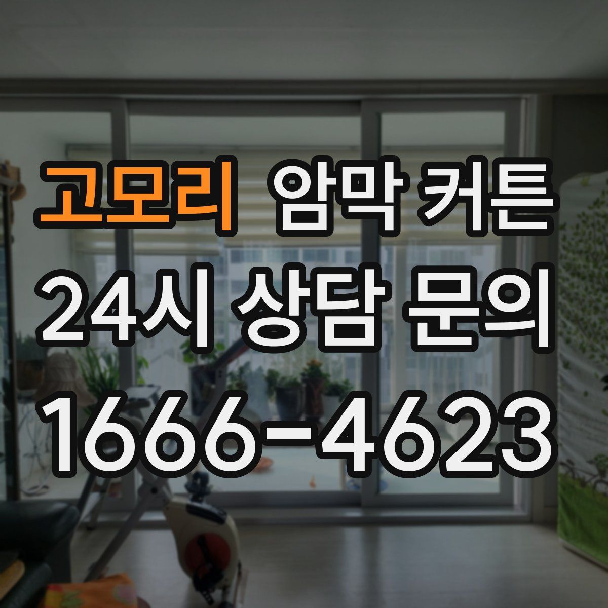 고모리 암막 커튼