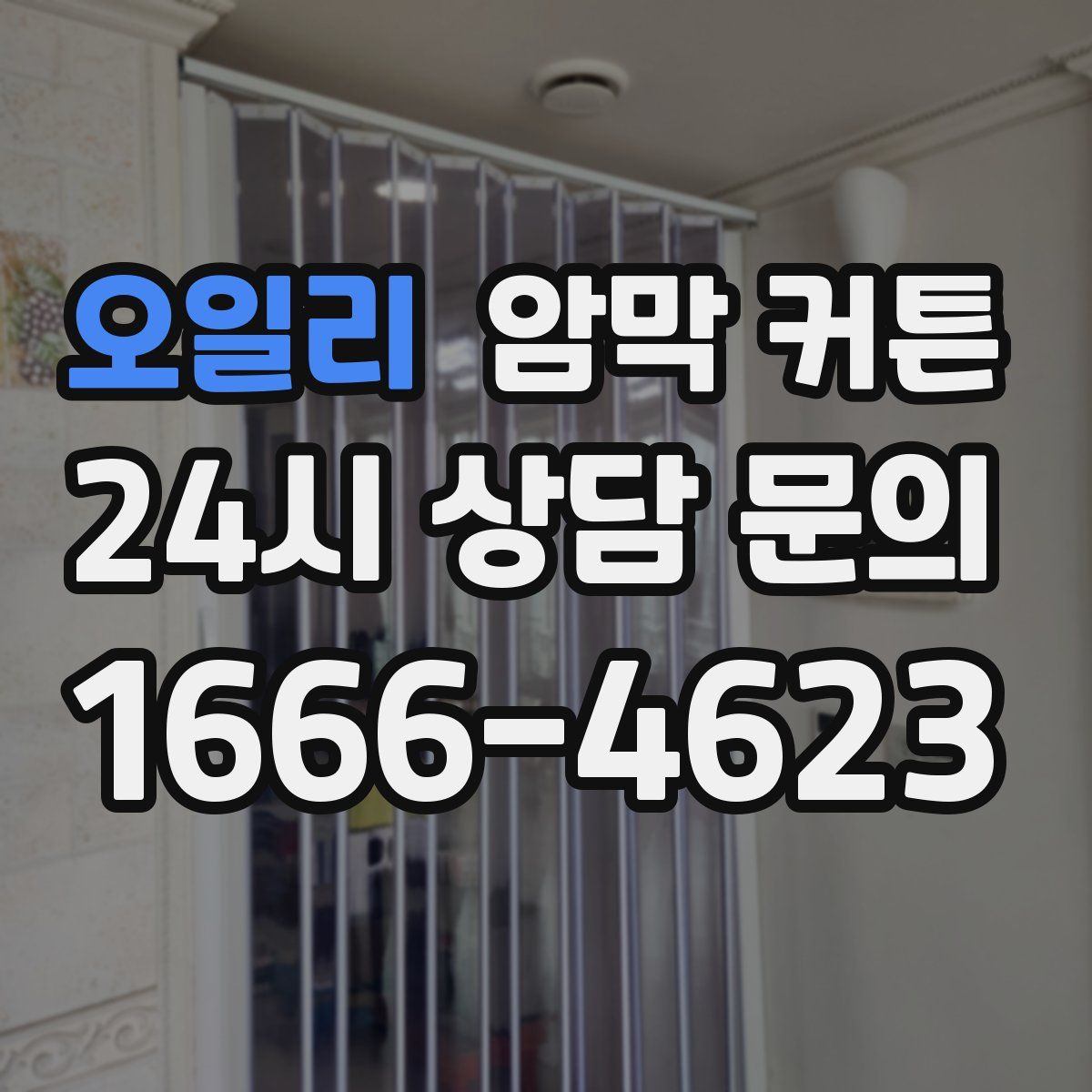 오일리 암막 커튼