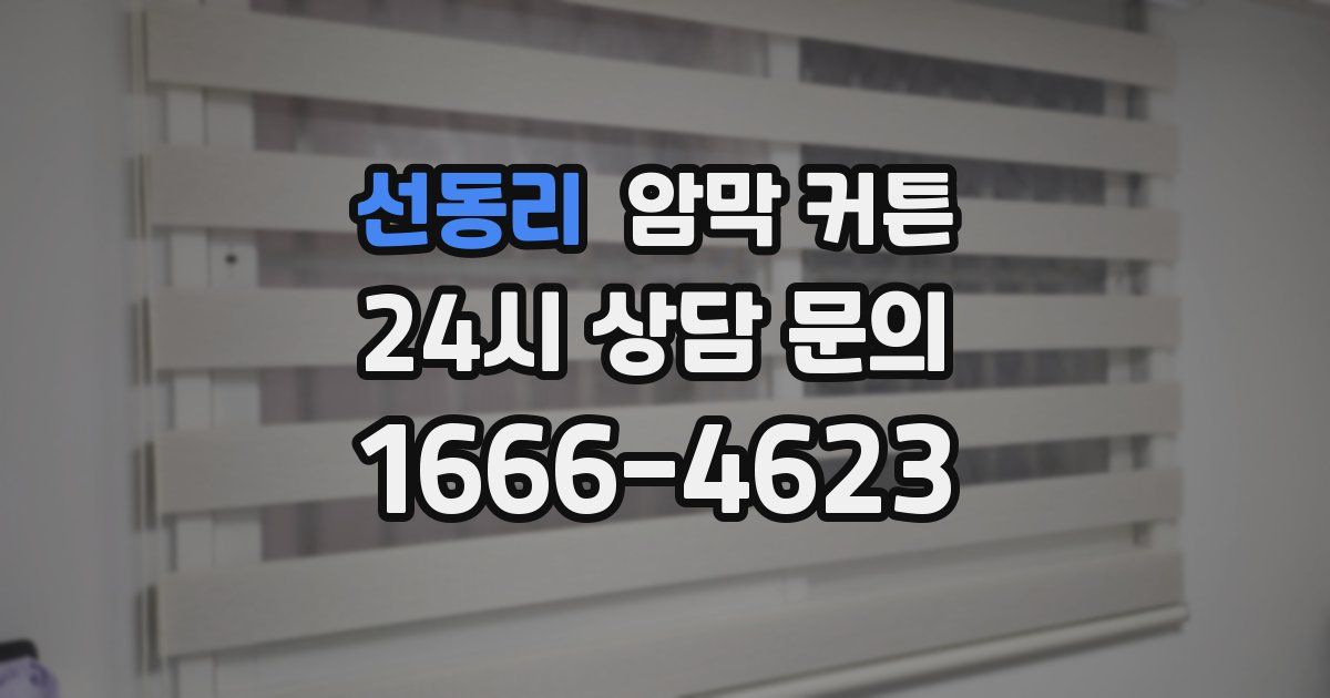 선동리 암막 커튼