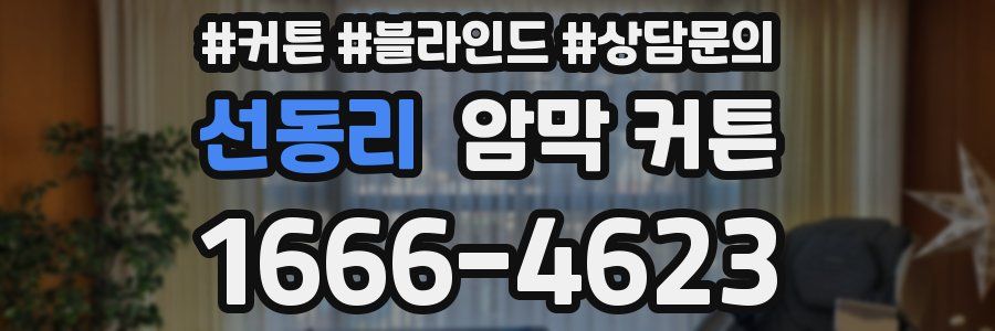 선동리 암막 커튼