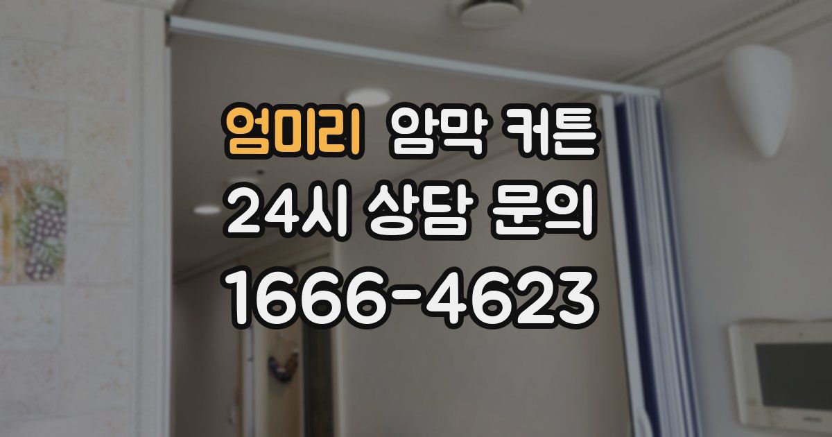 엄미리 암막 커튼