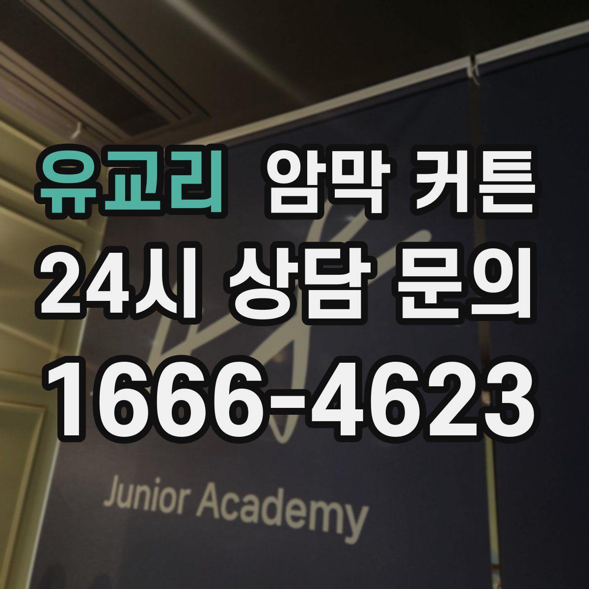 유교리 암막 커튼