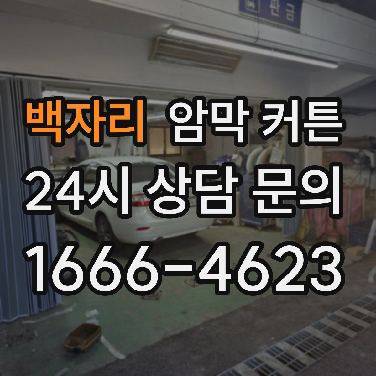 백자리 암막 커튼