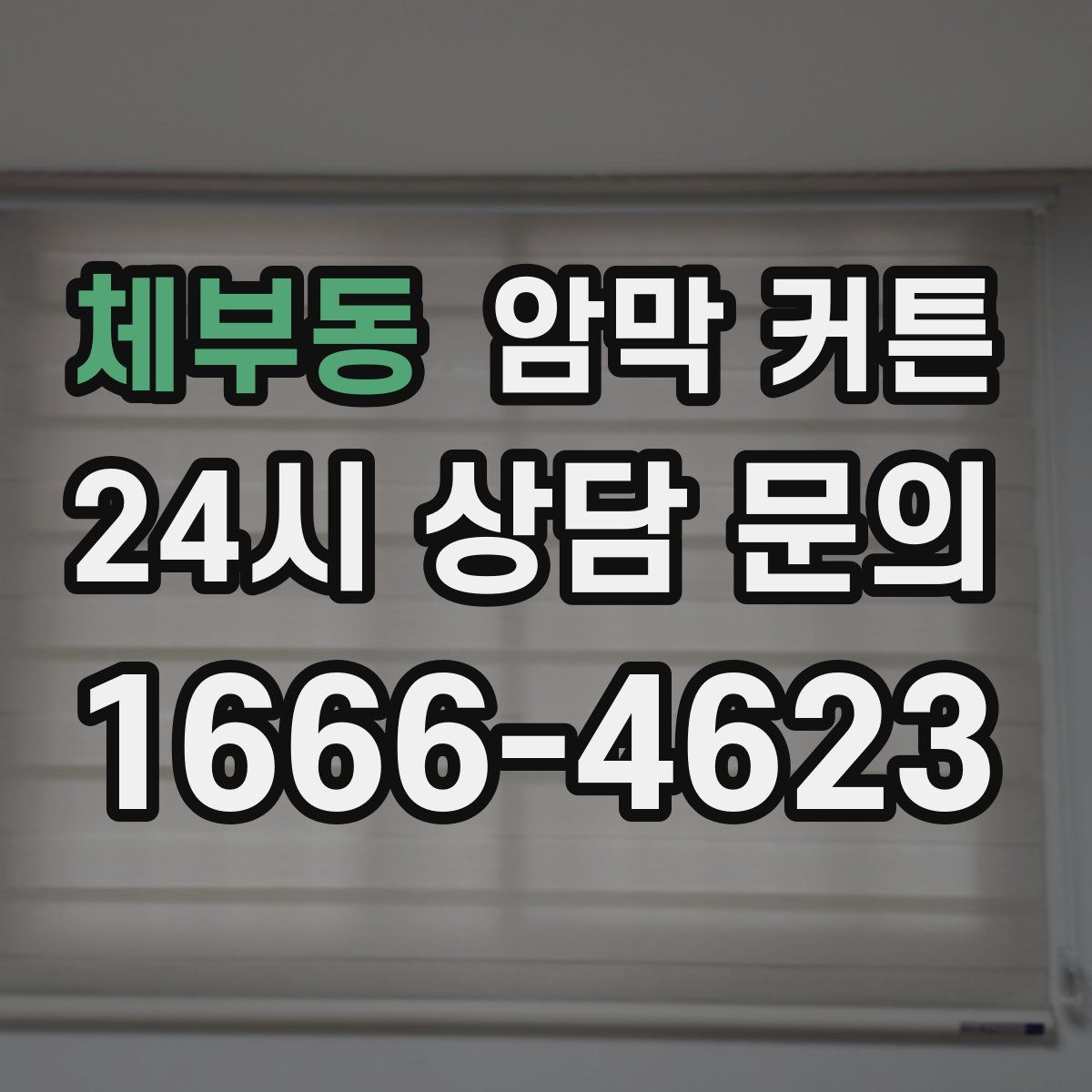 체부동 암막 커튼