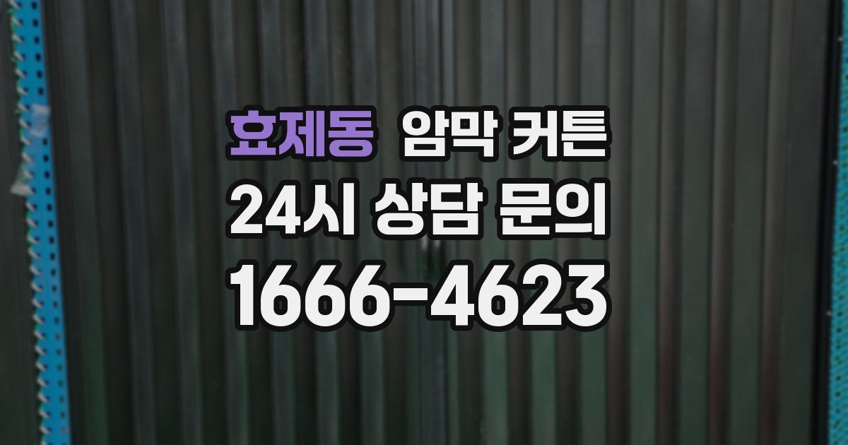 효제동 암막 커튼