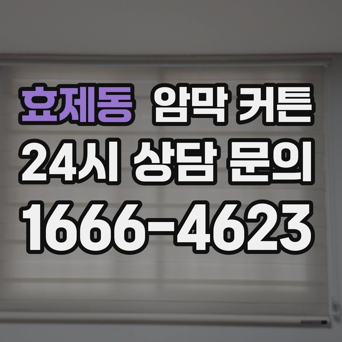 효제동 암막 커튼