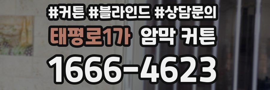 태평로1가 암막 커튼