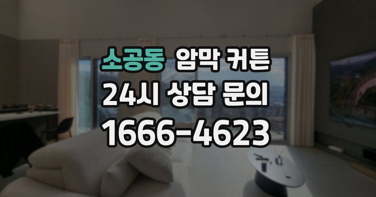 소공동 암막 커튼