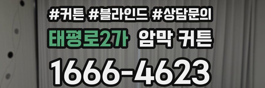 태평로2가 암막 커튼