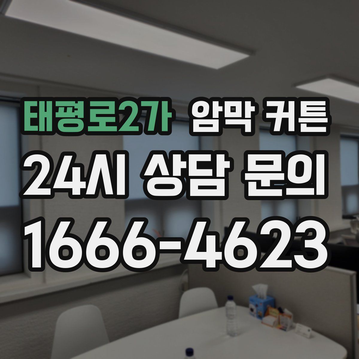태평로2가 암막 커튼