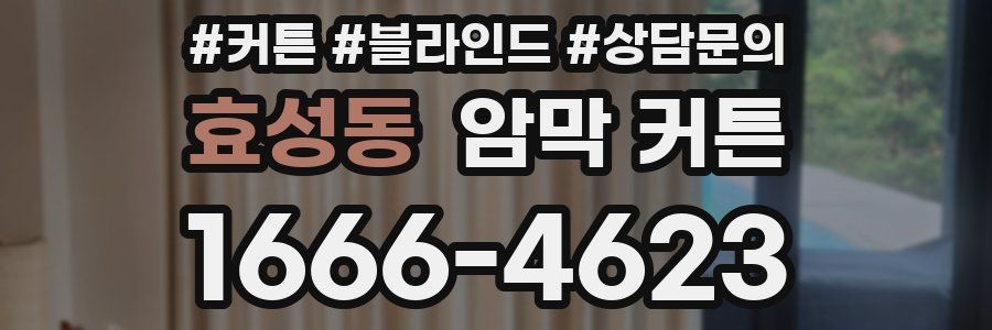 효성동 암막 커튼
