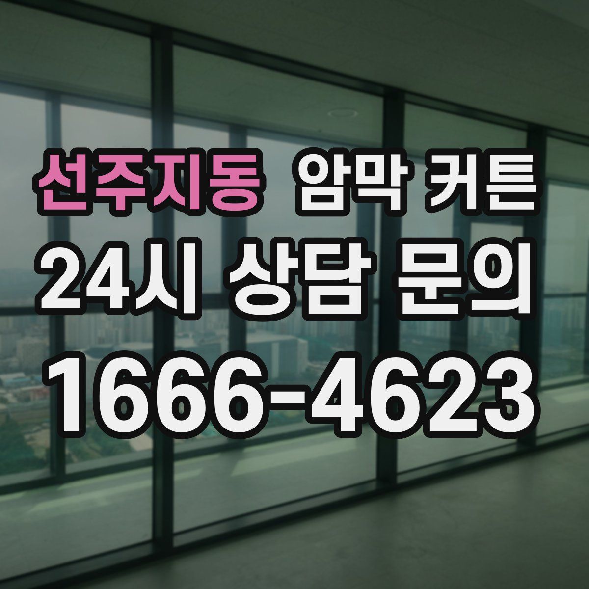 선주지동 암막 커튼