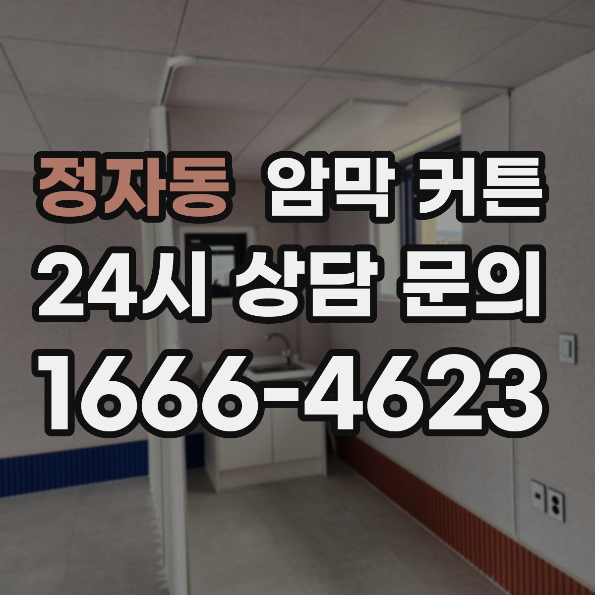 정자동 암막 커튼