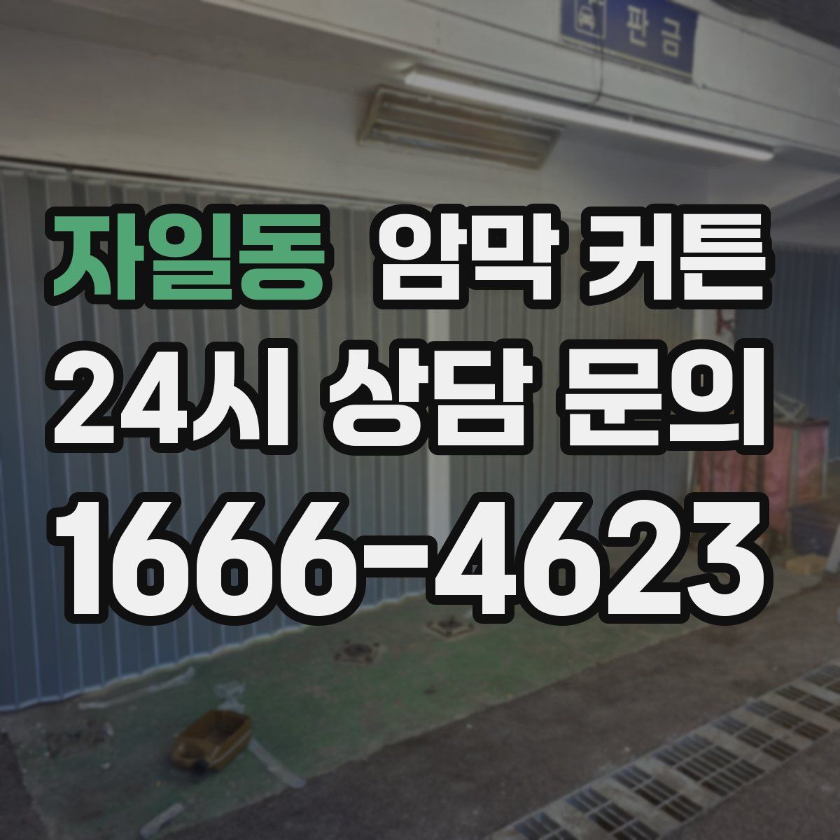 자일동 암막 커튼