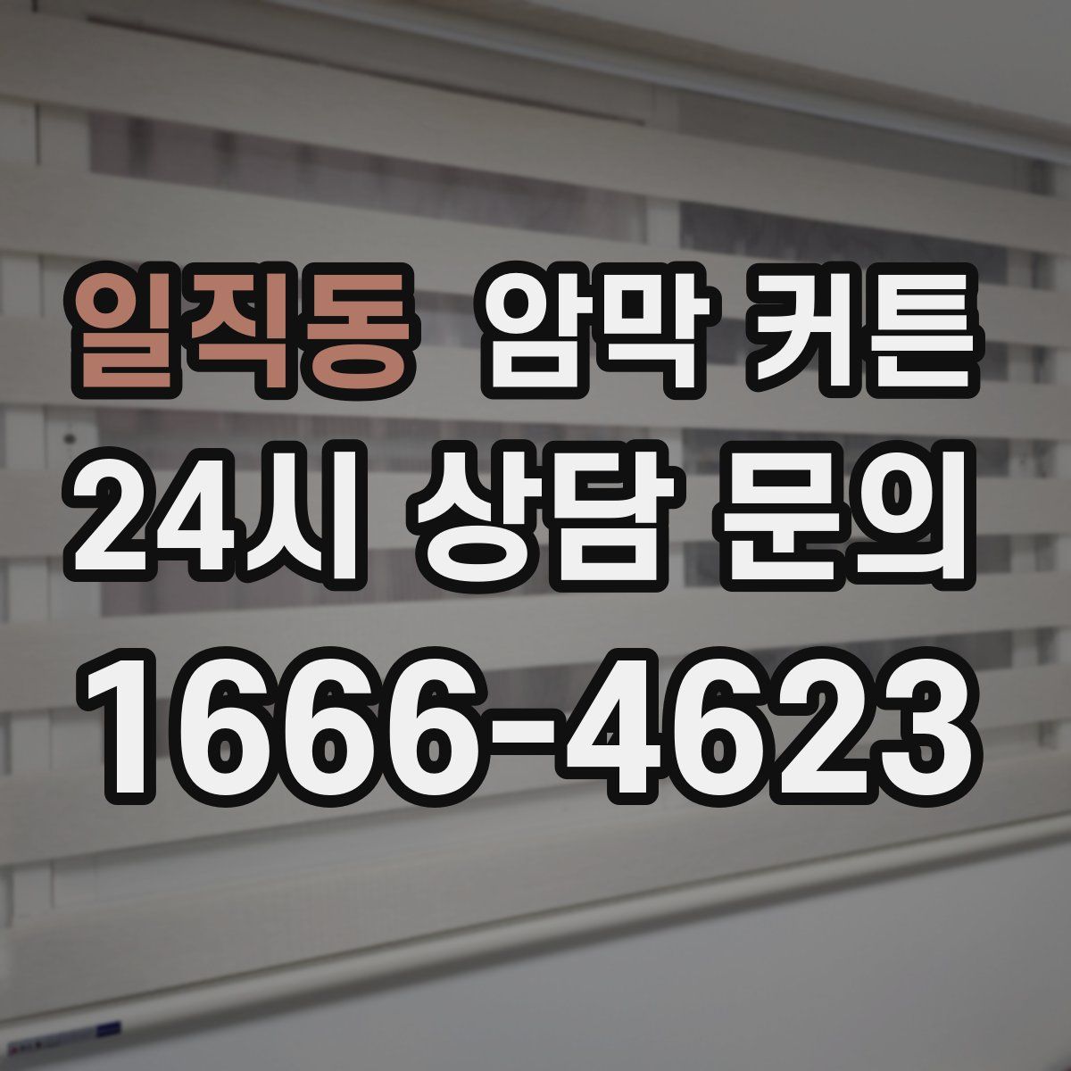 일직동 암막 커튼