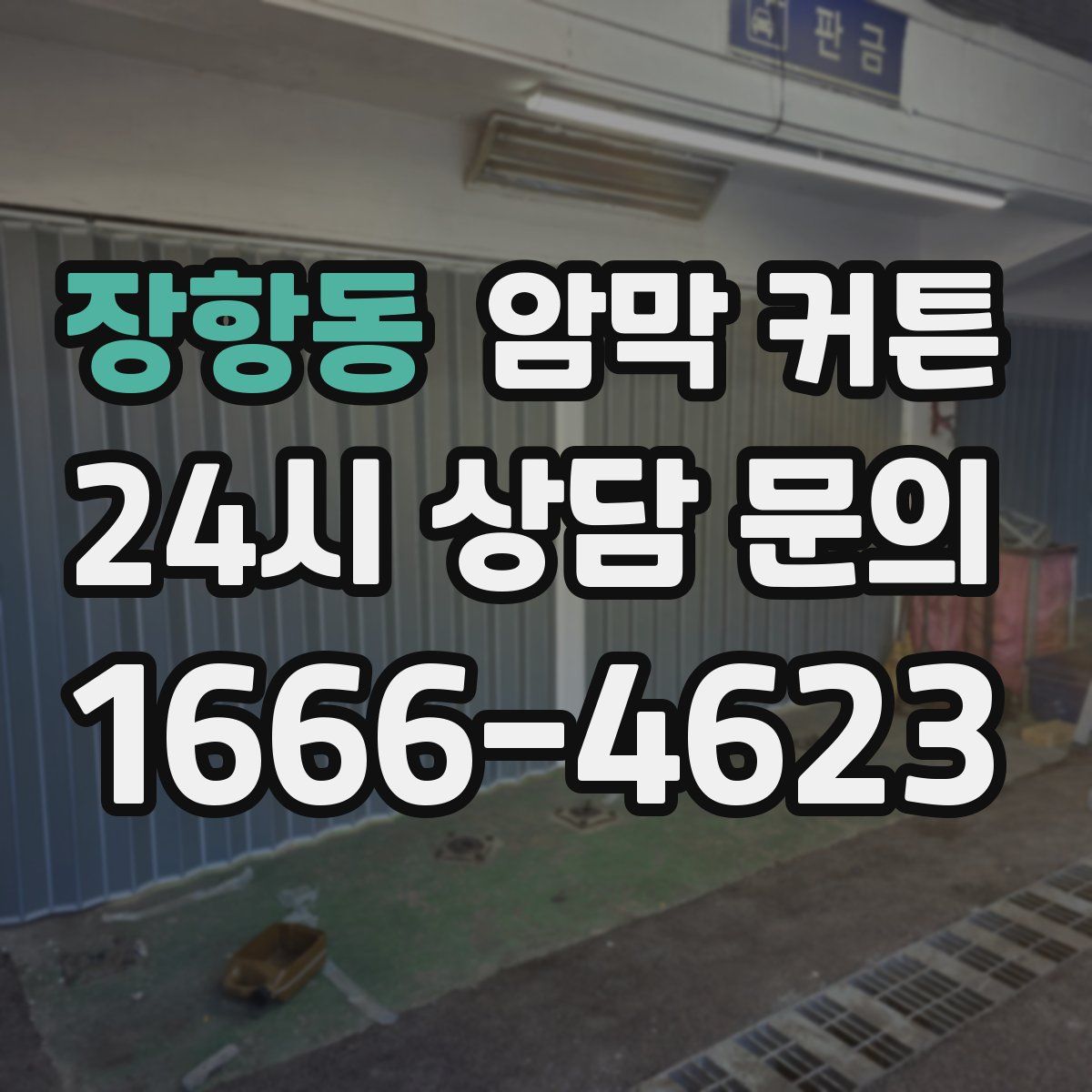 장항동 암막 커튼