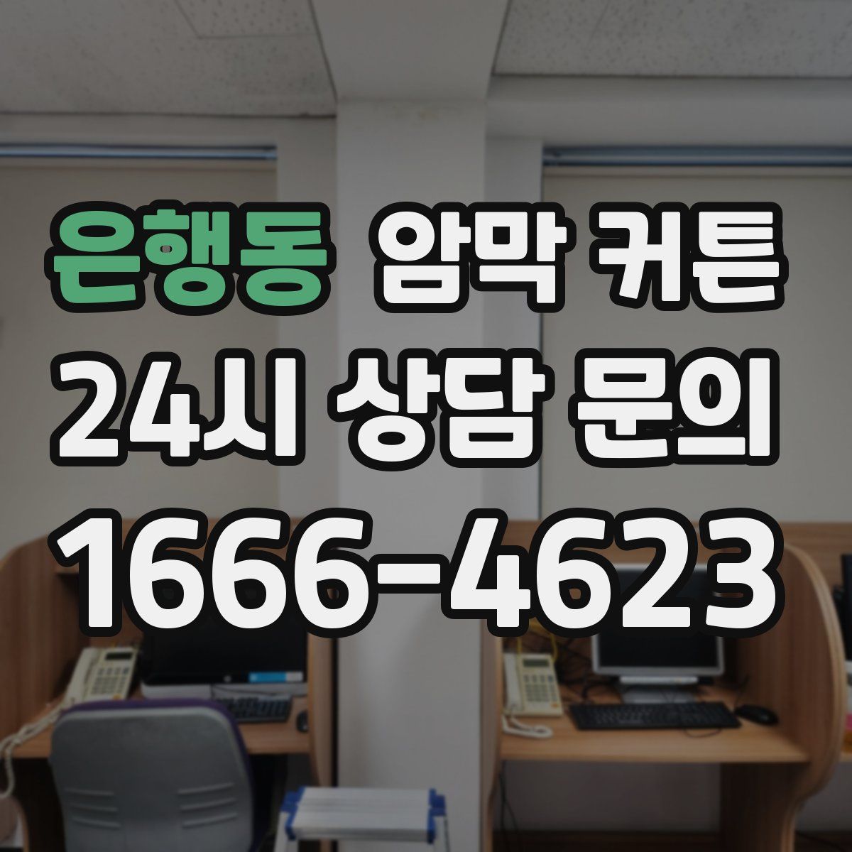 은행동 암막 커튼