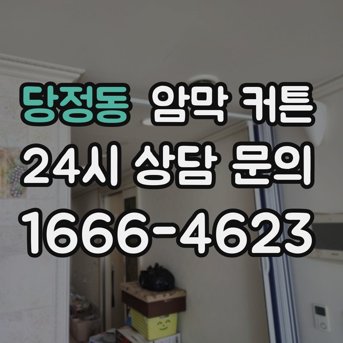 당정동 암막 커튼