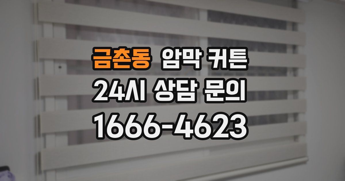금촌동 암막 커튼