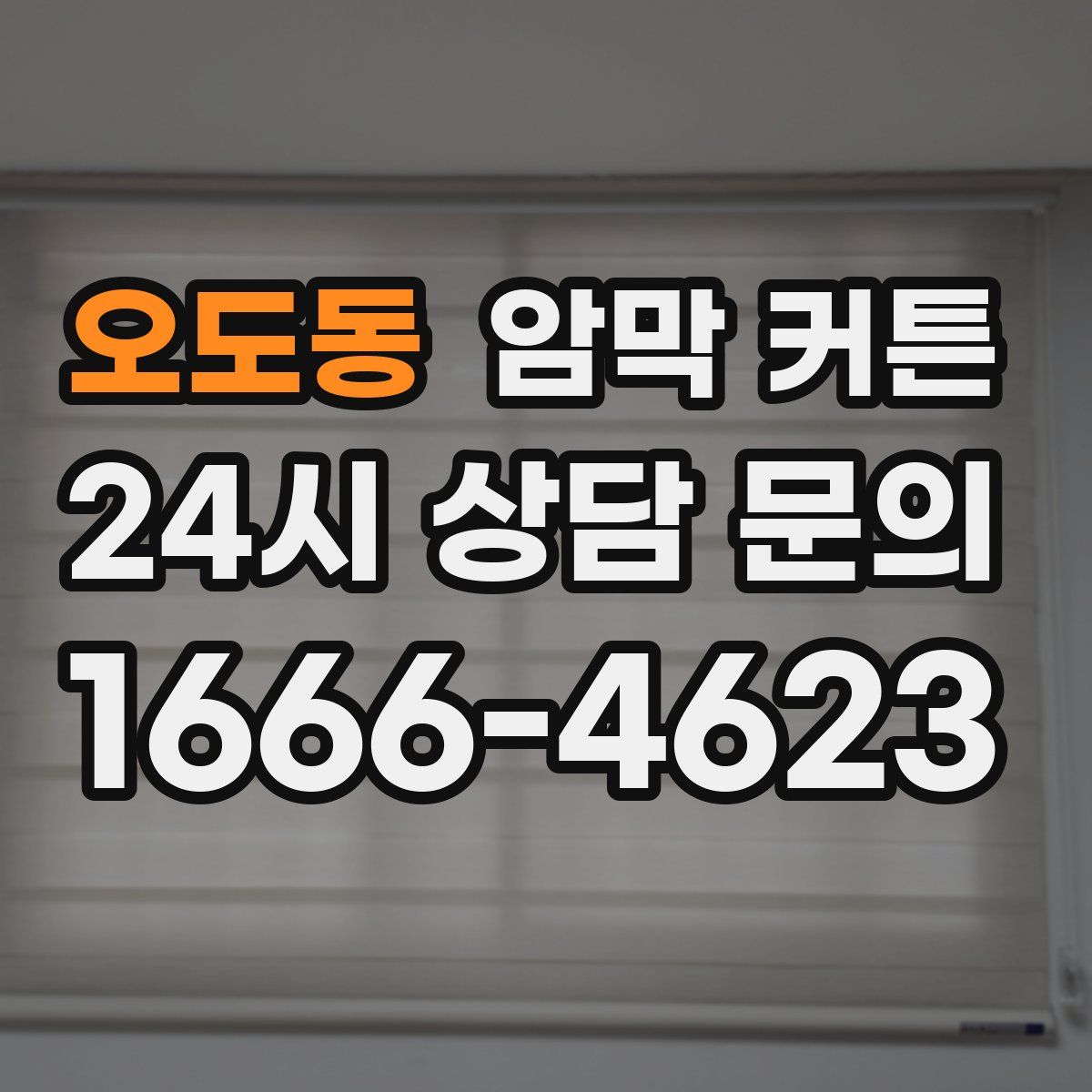 오도동 암막 커튼