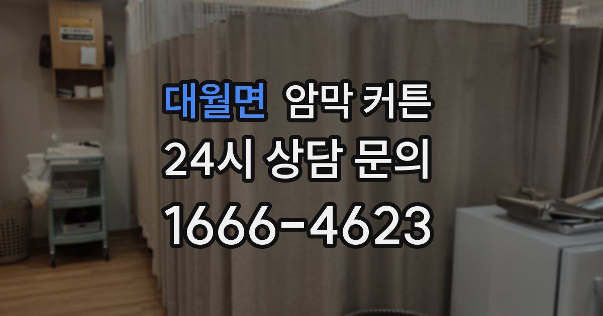 대월면 암막 커튼