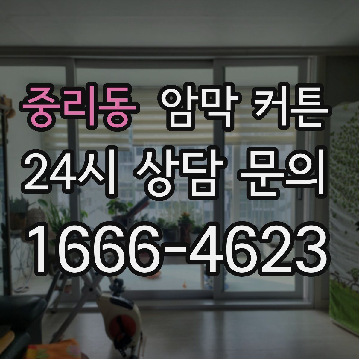 중리동 암막 커튼