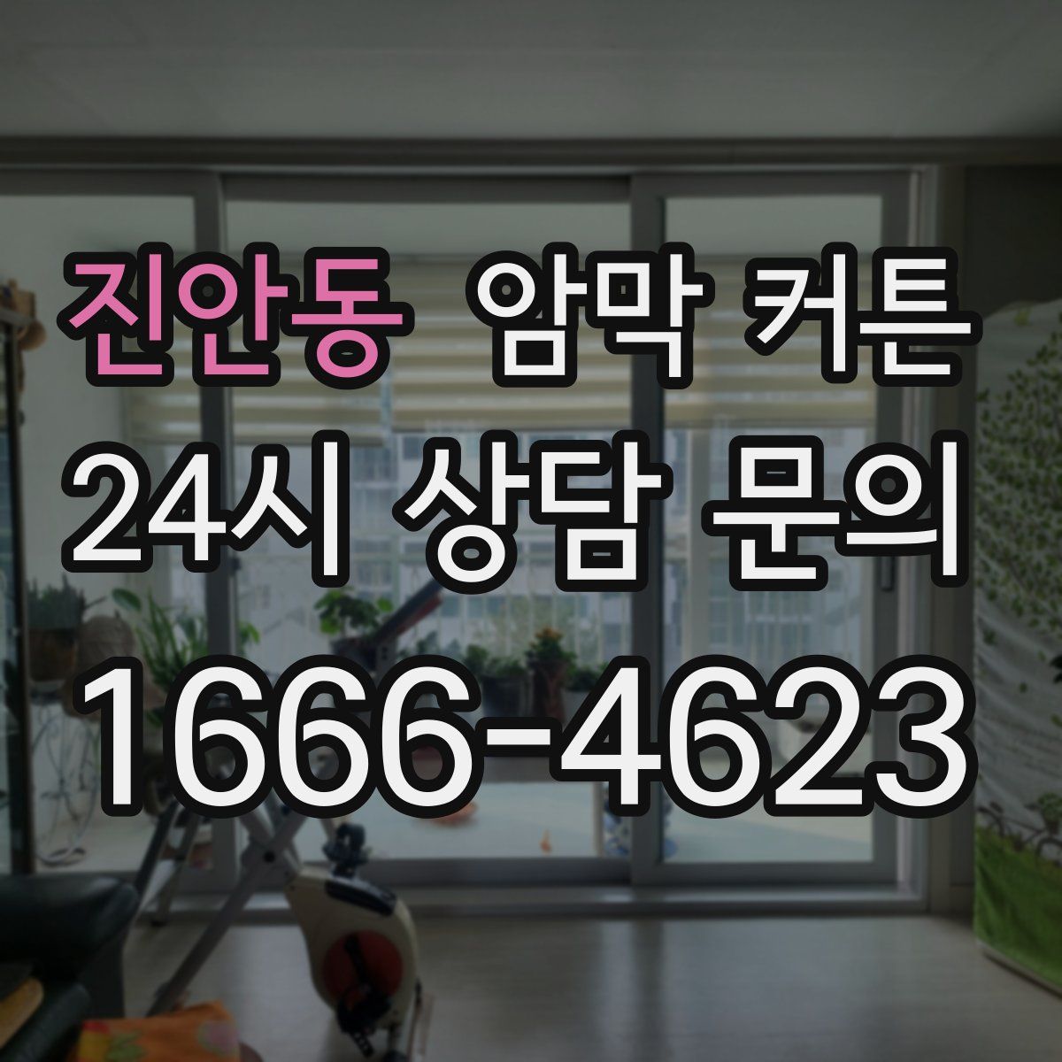 진안동 암막 커튼